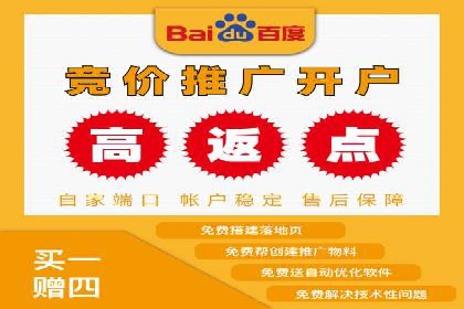 某电商平台的SEM关键词策略及成效分析